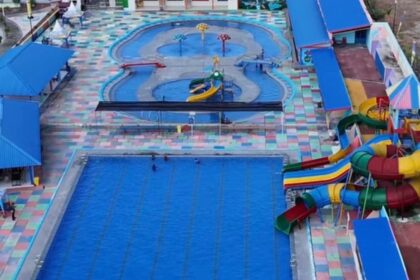 the hill parak bambu kuning bagan batu